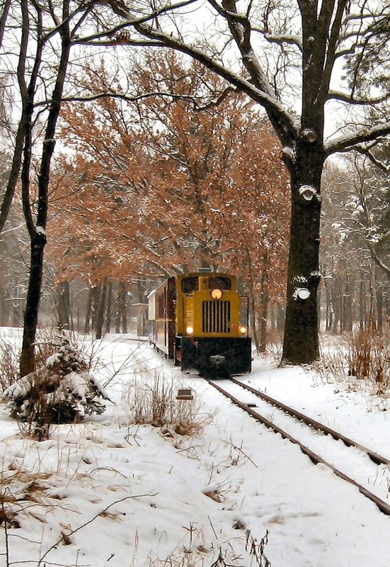 Winterbetrieb bei der Berliner Parkeisenbahn, 2006