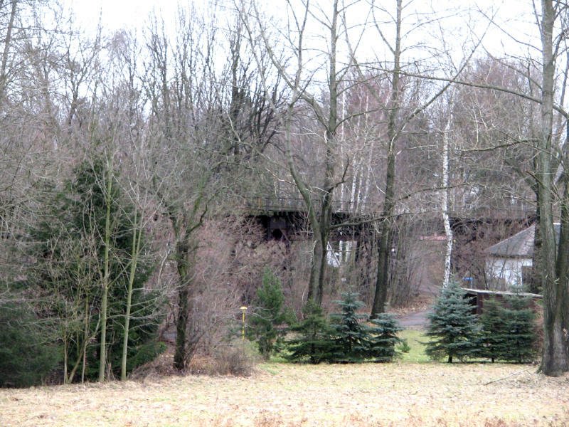 Zwischen Bumen versteckt steht die Brcke Himmelsfrst der Strecke Brand-Erbisdorf - Langenau am km 2,686. Einst bestanden wenige hundert Meter vor und nach dem Bauwerk Anschlussgleise zu Bergbauschchten. Das Bauwerk weisst eine grundlegend andere Architektur auf wie die Brcke im Ortsteil Erbisdorf.  20.01.08